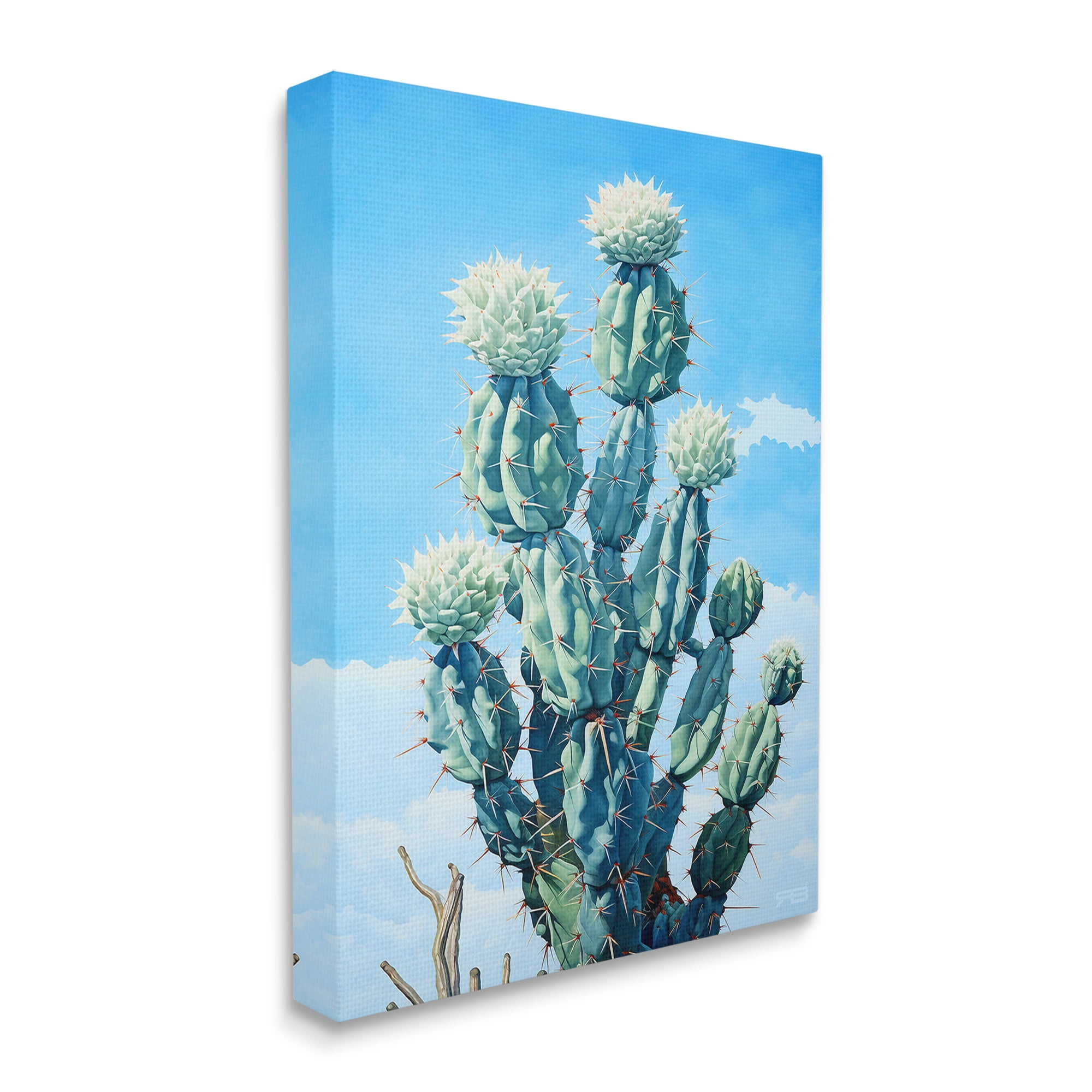 Stupell Industries Cactus & Cloudy Sky Botanical & Floral Painting Gallery Wrapped Canvas Art Print Wall Art, 16 x 20