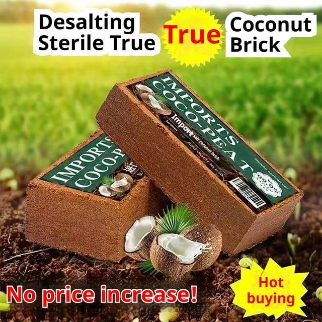 Ganfancp Ladrillo de Coco Prensado Fino/Aceite Nutritivo/Orgánico Sustrato para Cultivo de Plantas Suculentas/Coconutbran Cultivo Ladrillo de Coco/Plantación Especial Rebajas Hoy Liquidación Ladrillo