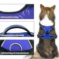 thumbnail image 5 of Dog Harness for Small Dogs, No Pull Pet Harness with 2 Leash Clips, Adjustable Soft Padded Dog Vest Handle, Reflective No Choke Pet Vest Harness, Blue, S, 5 of 7