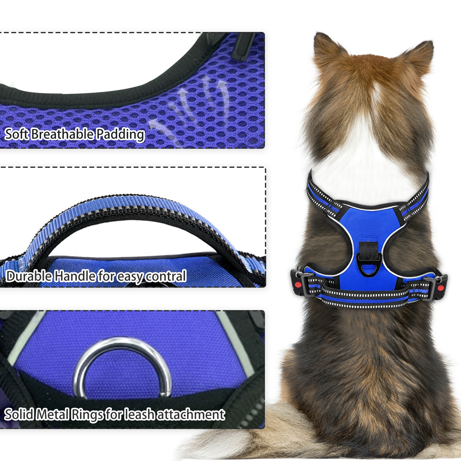 Astarin No-Pull Dog Harness, Small, Blue photo 5