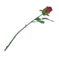 thumbnail image 3 of Way to Celebrate Single Red Forever Rose, 3 of 5