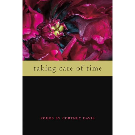 Pre-Owned Taking Care of Time (Paperback) 1611862744 9781611862744