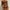 Coffee, variant on Aloohaidyvio tropical swimsuits for women,Womens Solid Color Bandage Two Piece Sexy Push-Up Pad Swimwear Swimsuit Beachwear Set,Clearance Swimsuits for Women 2 Piece