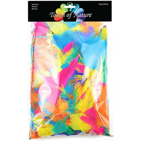 Hen Feathers Seashell - Big Value Pack Feathers