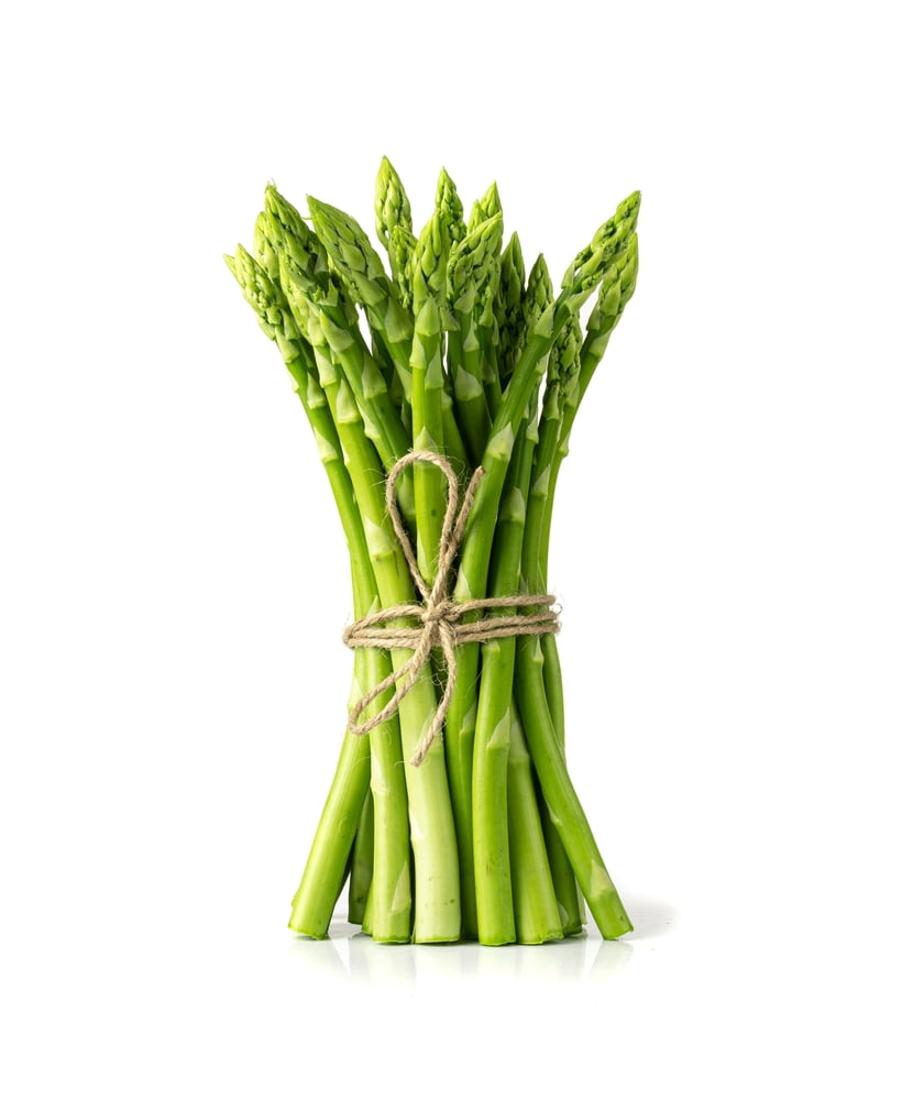 Millennium Live Asparagus Bare Root Plants - 2yr Crowns - Can Not Ship to California (15 Asparagus Roots)