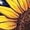 #1_Beige, variant on 2025 Women's Patriotic Sunflower T-Shirt - American Flag & Stars Print | 4th of July Short Sleeve Independence Day Graphic Top