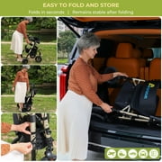 Foldable Rollator Walker for Seniors with Seat, Lightweight 2 In 1 Rolling Walkers Wheelchair Combo for Adult, Transport Chair with Brakes, Adjustable Seat and Handle, 300 Lb. Weight Capacity