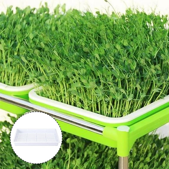 GOOHOCHY 1Pcs Grow Trays Hydroponic Nursery Tray Green for Home Gardening