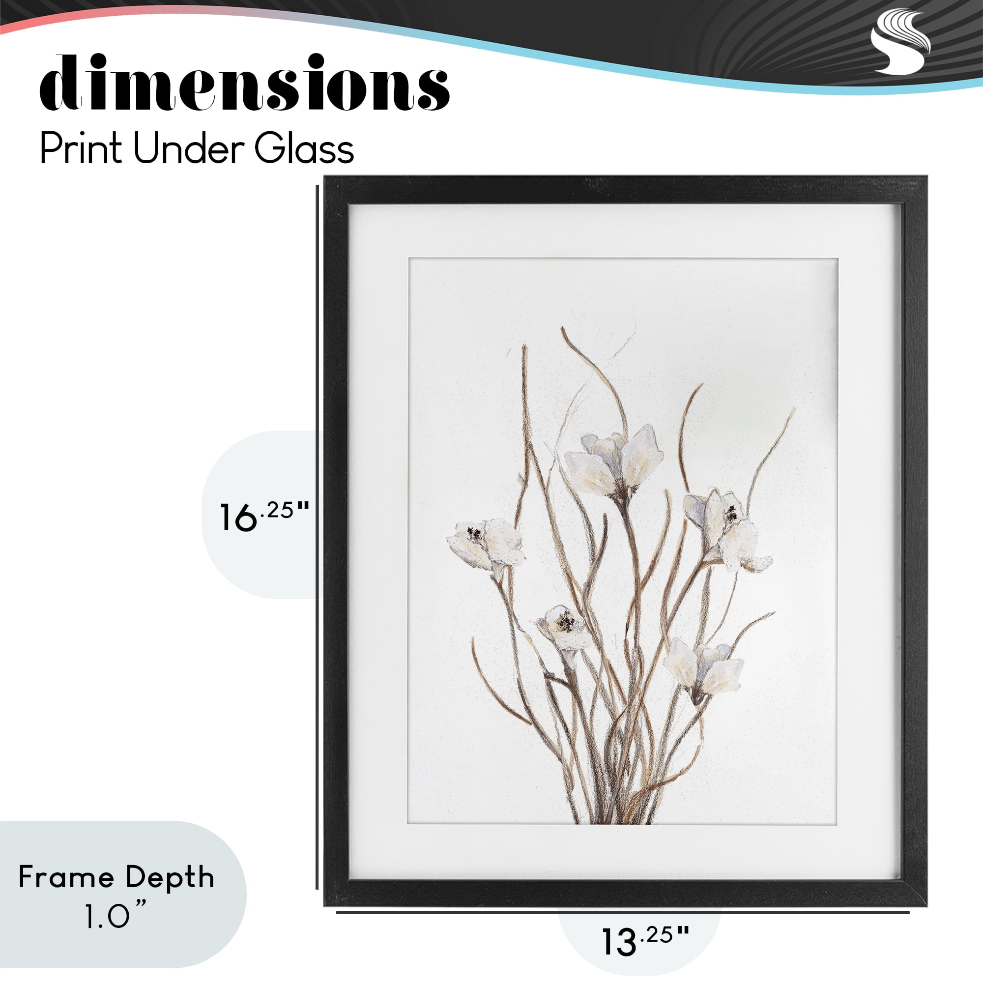 Stupell Industries Curly Floral Branches Black Framed Print Under Glass, design by Lanie Loreth