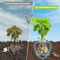 thumbnail image 4 of 8 Paquetes de Cestas Protectoras Raíz Acero Inoxidable 5 Galones para Proteger la Planta los Daños , Topillos y las Tuzas, 4 of 5