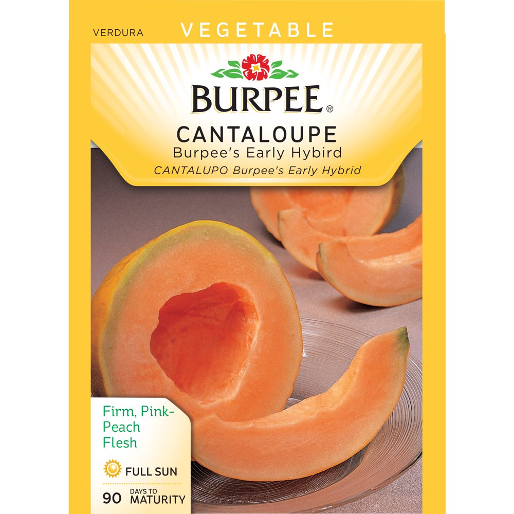 Burpee Melon Burpee's Early Hybrid Seed Packet