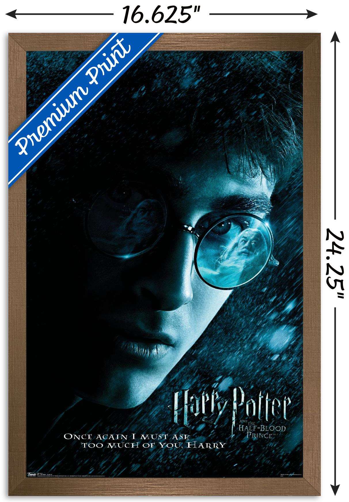Harry Potter and the Half-Blood Prince - Harry Close-up One Sheet Wall Poster, 14.725" x 22.375", Framed