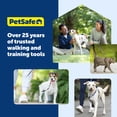 thumbnail image 2 of PetSafe 3 in 1 Dog Harness - No Pull Solution for Dogs - Reflective Dog Harness - Front D-Ring Clip Helps Stop Pulling - Comfortable Padded Stra, 2 of 7
