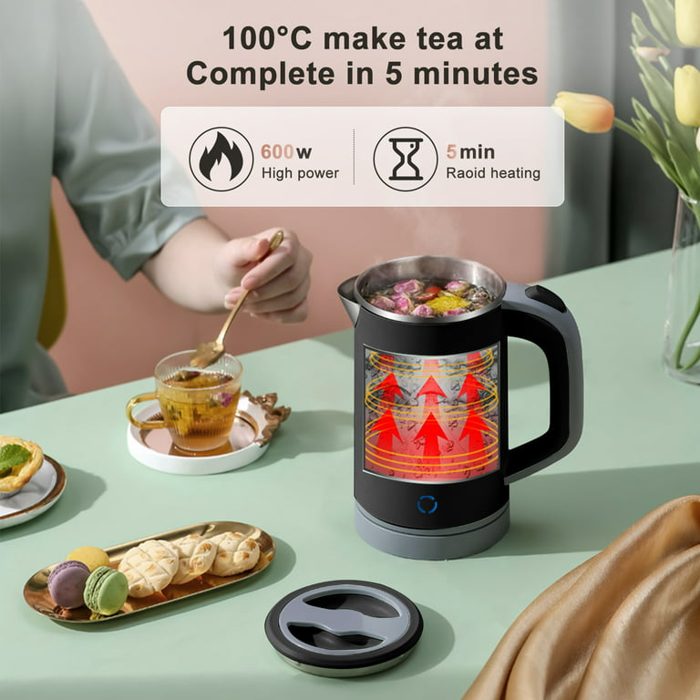 Tea Maker Mini Electric Kettle Winter 2020 Review Unboxing