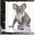 thumbnail image 3 of Ambesonne Koala Shower Curtain, Animal of Forest Tree Climber, 69"Wx75"L, White Dimgray Dust, 3 of 4