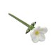 thumbnail image 1 of Decoración floral de vidrio hecha a mano con tallo, miniplantas florales sopladas a mano, figura decorativa para el hogar, sala de estar, oficina, mesa, florero., 1 of 8