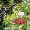 thumbnail image 4 of SNYNUXX Durable Platform Bird Feeder with Rust-Proof Chains, Red, 4 of 7