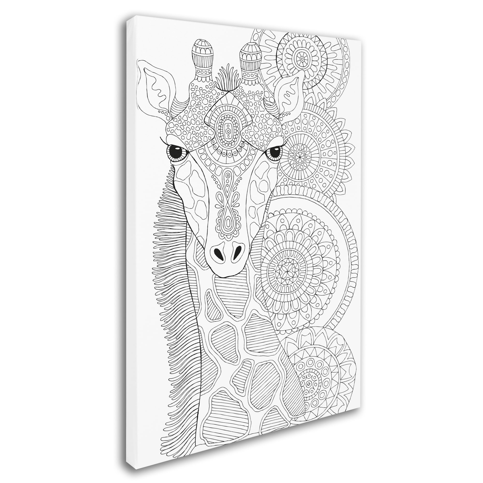 Trademark Fine Art "Animals 11" Canvas Art by Hello Angel