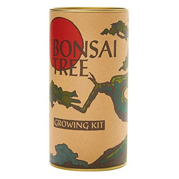 Arbre Bonsaï / Genévrier Chinois / Trousse de Culture de Graines / The Jonsteen Company