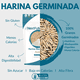 thumbnail image 2 of Harina de Avena Germinada I SIN GLUTEN I NextFuture Foods I 907gr, 2 of 8