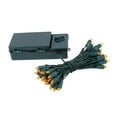 thumbnail image 1 of Novelty Lights Battery Operated LED Mini Lights 18 Feet, 50 Count Amber Fairy Lights on Green Wire, On/Off & Timer Modes, Indoor/Outdoor Use, 3x D-Cell Required, 1 of 6