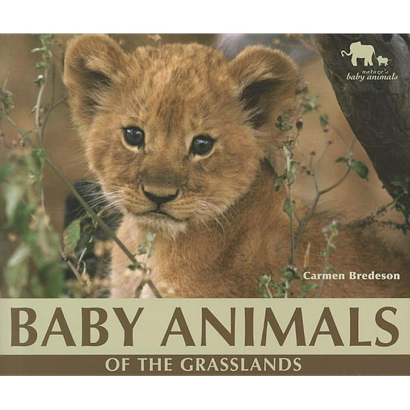 Nature's Baby Animals: Baby Animals of the Grasslands (Paperback)