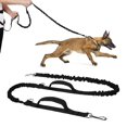thumbnail image 4 of Yinanstore Hands Leash, Suitable for Running Walking, Training for Small Medium and Large Dogs, Adjustable Waist Belt, Reflective , Zipper Pouch , Leash Only, 4 of 8