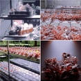 thumbnail image 1 of 225 LED Grow Light Lamp Ultra-thin Panel Bulbs Indoor Plant Veg Flower, 1 of 9