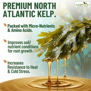 GS Plant Foods Organic Kelp Fertilizer Boost - Seaweed Extract, Plant-Based, OMRI Certified, Concentrated, Easy to Mix, Natural and Organic Solution for Gardens, Lawns, and Soil, 1 Quart, Liquid.
