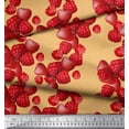 thumbnail image 2 of Soimoi Cotton Jersey Fabric Raspberry,Strawberry & Cherry Fruits Print Fabric by The Yard 58 Inch Wide, 2 of 3