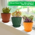 thumbnail image 5 of 6-Inch Plastic Plant Pots, 5-Pack Flower Pots with Drainage Holes & Saucers, Indoor Outdoor Planters for Garden & Home, Multicolor, 5 of 8