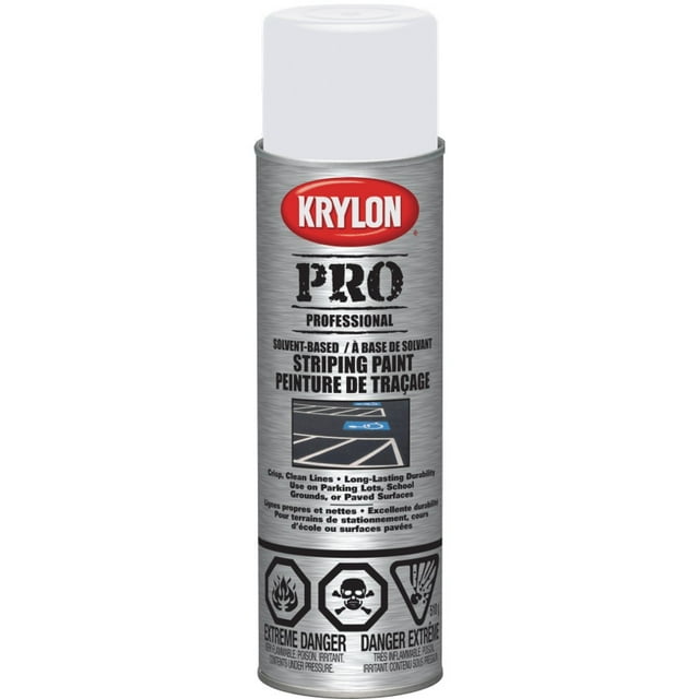 Peinture Professionnelle à Base de Solvant pour Pulvérisation - Autoroute Blanche, 510 g