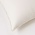 thumbnail image 5 of Cloud Nine Prime Feather Unbleached Cottom King Pillow, 5 of 6