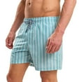 thumbnail image 3 of RIPT Essentials Mens Stripe Swim Shorts, 3 of 4