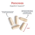 thumbnail image 4 of ARG Pancreas Natural Glandular - Supports Healthy Pancreas, Immune & Digestive Activity - 425 mg per Serving - Freeze Dried Tissue from Pork - 720 Servings - 720 Capsules, 4 of 7