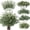 Green, variant on 130 Pcs Artificial Mixed Euc Stems Bulk, 5 Kinds of Faux Greenery Euc Leaves Bulk for Vase Wedding DIY Bouquets Floral Arrangement Home Decor (130, Green)