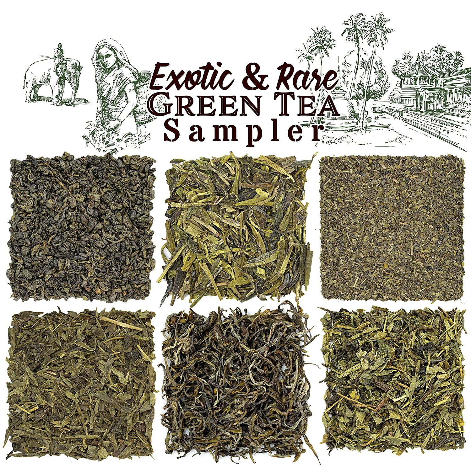 Solstice Exotic Rare Green Tea Loose Leaf Tea Assortment (6-Variety), Dragon Well, Gunpowder, Sencha, Yunnan, Fannings, Chinese Pan-fired