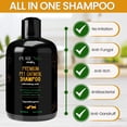 thumbnail image 3 of Dry Skin & Anti Itch Shampoo for Dogs | Oatmeal Dog Shampoo | Natural Dog Shampoo Itchy Skin Relief | Hypoallergenic Dog Shampoo for Pets | Anti Dandruff Treatment for Dogs, Suitable for All Pets, 3 of 7
