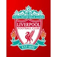 thumbnail image 2 of Cuadros Decorativos Pintura de diamante de taladro redondo completo para bricolaje, emblema del equipo de Liverpool, mosaico de diamantes de imitación DQrwqpou Nuevos Originales, 2 of 9