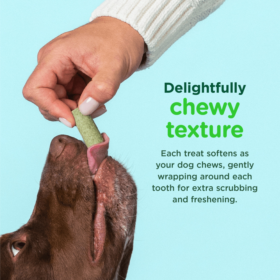 Minties FreshBites Dental Dog Treats, 100 Count photo 4