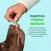 Minties FreshBites Soft and Chewy Dental Treats for Dogs, Low Calorie Natural Mint Flavored Dental Chews for Dogs, 100 Count, Chews Clean Teeth, Fight Bad Breath, and Removes Plaque and Tartar