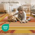 thumbnail image 4 of ODIKA 4'x6' Washable Area Rug Retro 70S Colored Mid Century Striped Bordered Sunset Vinyl Record Playful for Bedroom, Reading Nook, Pet Friendly & Non-Shedding, 4 of 7