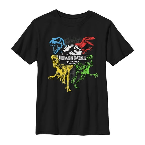 Boy's Jurassic World Color Raptor Squad  Graphic Tee Black Large