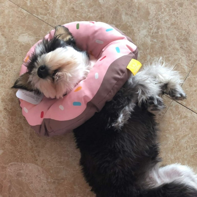 Alfie Pet Leslie Donut Recovery Collar for Dogs and Cats Color - Main Image