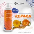 thumbnail image 2 of FILIP NATURAL, Jabón De Caléndula, Auxiliar En Pieles Secas y/o Sensibles, Escoriaciones y Quemaduras,  360ml., 2 of 2