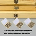 thumbnail image 6 of Sinyiin Mineral Specimens Geology Learning Set Copper Rocks In Wooden Box Science Project, 6 of 11
