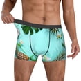 thumbnail image 2 of Kdxio Men's Boxer Briefs with Tropical Pineapple Print - Comfortable and Breathable Underwear for Everyday Wear, 2 of 7