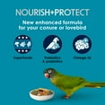 thumbnail image 4 of Kaytee Forti-Diet Pro Health Nourish+Protect Conure & Lovebird Food 4 pounds, 4 of 14