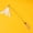 White, variant on Long Handle Interactive Cat Wand Toy Bite Resistant Kitten Teaser Toy with Replaceable Attachments for Boredom Relief Exercise Play for Cats of All Ages