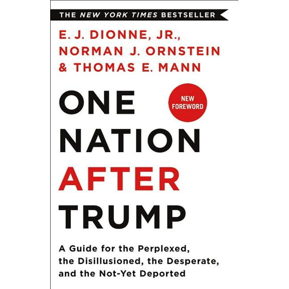 One Nation After Trump (Paperback)